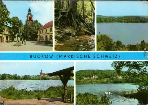 Buckow (Märkische Schweiz  Markt  Schermützelsee, Buckow-See, Griepensee g1974