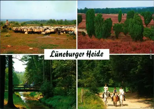 _Niedersachsen allgemein Felder, Wiesen, Schafe, Landschaft, Brücke, Pferde 2000