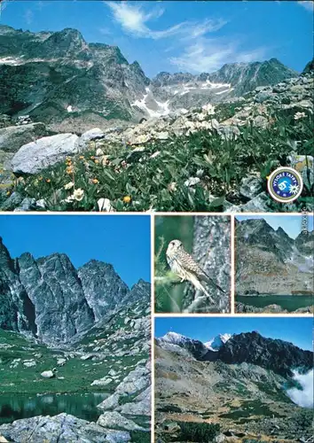 Ansichtskarte Slowakei Mengusovská dolina/Hohe Tatra, Vysoké Tatry 1979