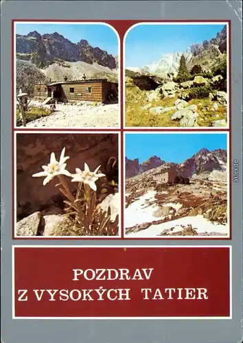 Ansichtskarte Vysoké Tatry Berg-Baude, Bergwelt, Blume 1982