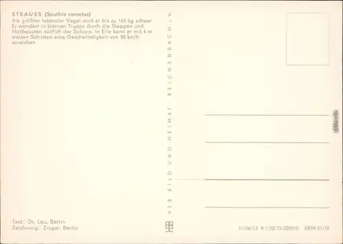 Ansichtskarte  Zeichnung: Strauss 1975