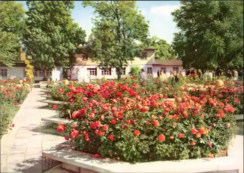 Ansichtskarte Erfurt Internationale Gartenbauausstellung der DDR (IGA) 1976