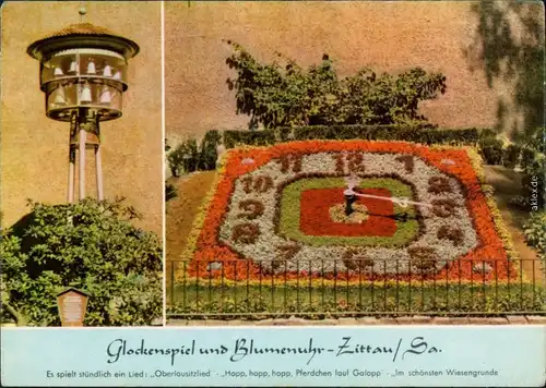 Ansichtskarte Zittau Blumenuhr, Porzellan-Glockenspiel 1967