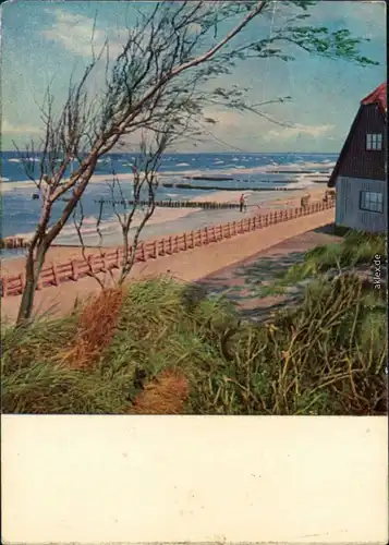 Ansichtskarte Ahrenshoop Haus am Strand 1965