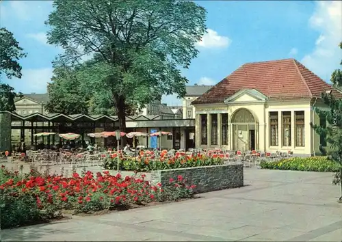 Ansichtskarte Dessau-Dessau-Roßlau Gaststätte Teehäuschen im Stadtpark 1971