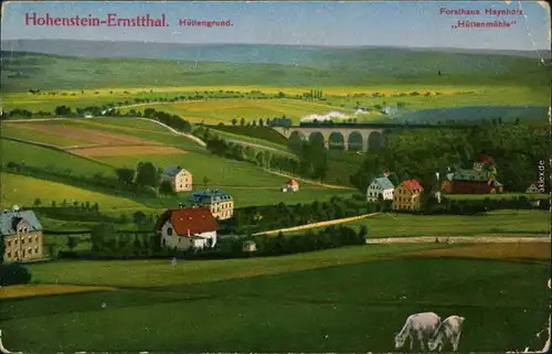 Hohenstein-Ernstthal Panorama-Ansicht mit Forsthaus Haynholz Hüttenmühle 1914