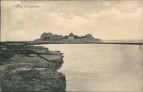 Ansichtskarte Langeneß Langenæs Hallig (ehem.Nordmarsch) Hilligenley 1909