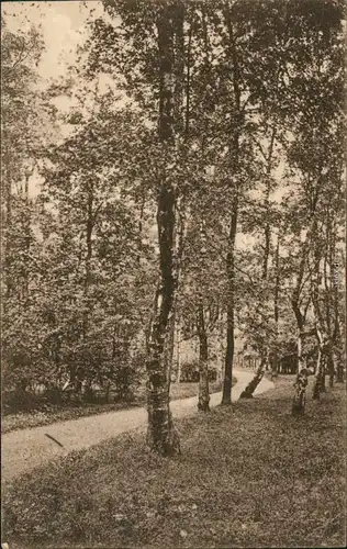 Ansichtskarte Neumünster Renkpark 1925