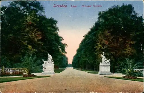 Ansichtskarte Dresden Großer Garten - Allee 1928