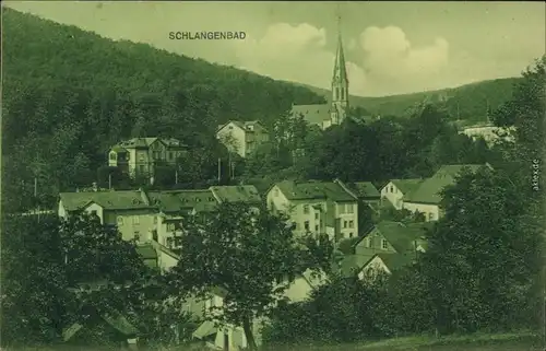 Ansichtskarte Schlangenbad Panorama-Ansicht 1911