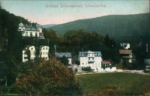 Ansichtskarte Bad Wildbad Schweizerthal 1907