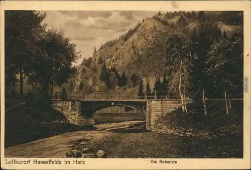 Ansichtskarte Hasselfelde Am Rotestein 1910