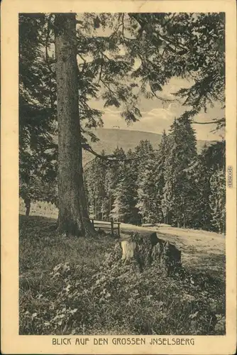 Ansichtskarte Brotterode Blick auf den Großer Inselberg / Inselsberg 1922
