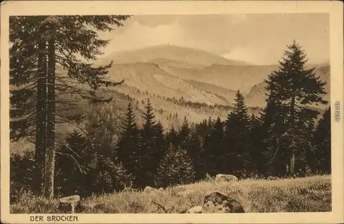 Ansichtskarte Ilsenburg (Harz) Der Brocken (Harz) 1920