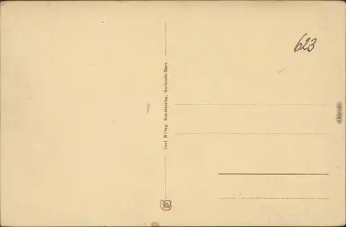 Ansichtskarte Ilsenburg (Harz) Der Brocken (Harz) 1920