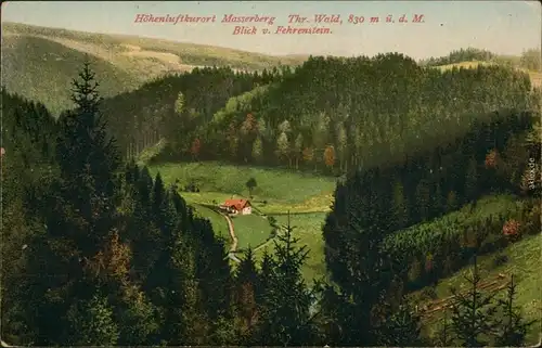 Ansichtskarte Masserberg Panorama-Ansicht vom Fehrenstein 1913