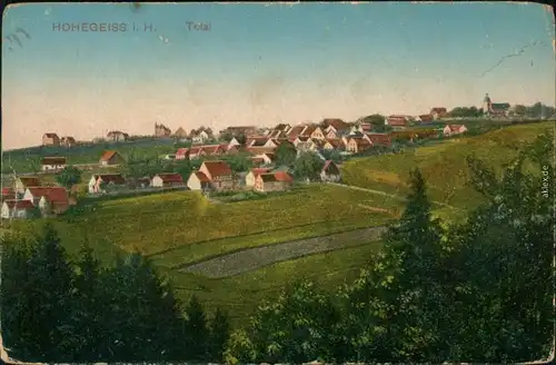 Ansichtskarte Hohegeiß-Braunlage Panorama-Ansicht 1910