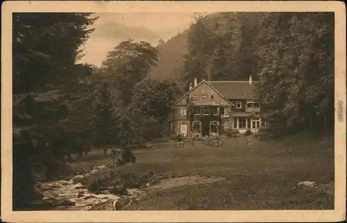 Ansichtskarte Tabarz/Thüringer Wald Lauchagrund - Massemühle 1910