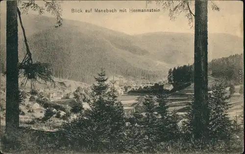 Ansichtskarte Manebach-Ilmenau Panorama-Ansicht 1910