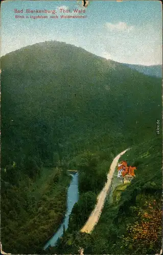 Ansichtskarte Bad Blankenburg Blick vom Ingofelsen 1910