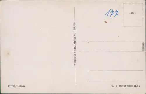 Ansichtskarte Buckow (Märkische Schweiz) Wurzelfichte 1955