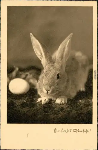 Glückwunsch/Grußkarten: Ostern - Hase mit Ei 1939 Reichsluftschutzbund Stempel