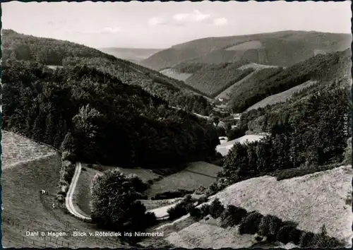 Ansichtskarte Dahl-Hagen (Westfalen) Nimmertal 1963