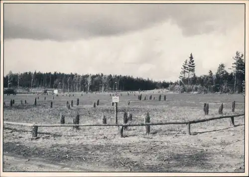 Ansichtskarte Gatow-Berlin Gatower Heide 1964