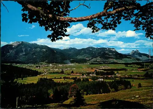 Ansichtskarte Bad Mitterndorf Panorama-Ansicht mit Berge 1988