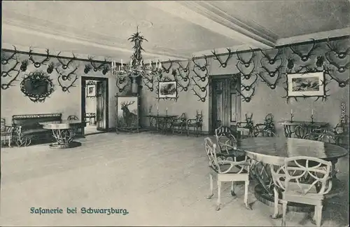 Ansichtskarte Schwarzburg Fasanerie - Innenansicht 1914 