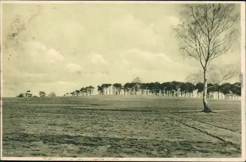 Ansichtskarte Dresden Grosse Hellerdüne 1950