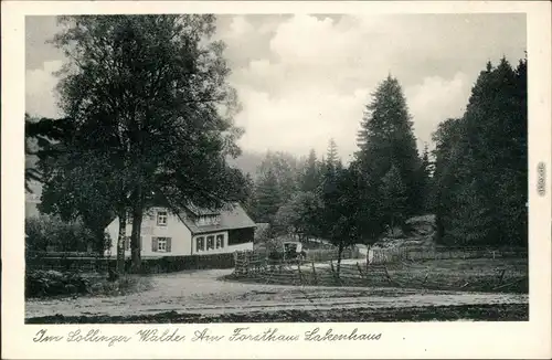 Ansichtskarte Neuhaus im Solling-Holzminden Am Forsthaus Lakenhaus 1932 