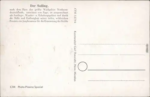 Ansichtskarte Neuhaus im Solling-Holzminden Am Forsthaus Lakenhaus 1932 