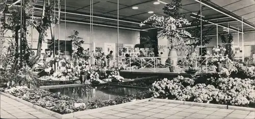 Ansichtskarte Erfurt Internationale Gartenbauausstellung der DDR (IGA) 1961