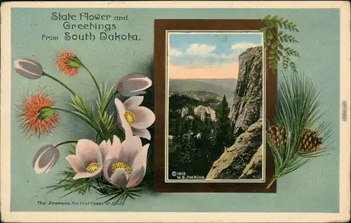 Ansichtskarte  State Flower an Greetings form South Dakota 1913