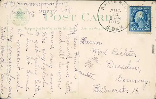 Ansichtskarte  State Flower an Greetings form South Dakota 1913