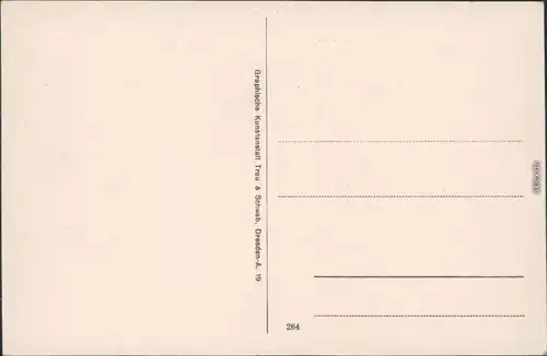 Ansichtskarte Bad Schandau Zeughaus mit Forsthaus Goldstein 1916 
