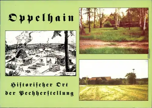 Oppelhain Große Kleine Pechhütten - historischer Ort der Pechherstellung 1997