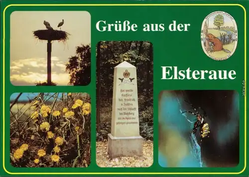 Elsteraue Storchennest, Gedenkstein, Blumen und Tiere aus dem Umland 1998
