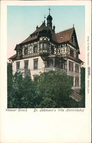 Ansichtskarte Weißer Hirsch-Dresden Dr. Lahmanns Villa Heinrichhof 1908 