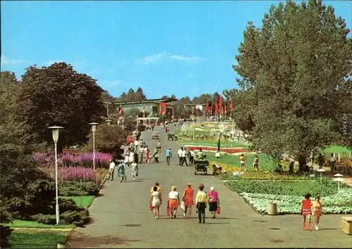 Ansichtskarte Erfurt Internationale Gartenbauausstellung der DDR (IGA) 1973