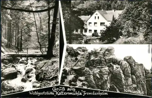 Ansichtskarte Horn-Bad Meinberg Waldgaststätte Kattenmühle 1977