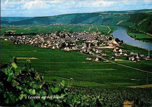 Ansichtskarte Leiwen Panorama, Mosel 1989