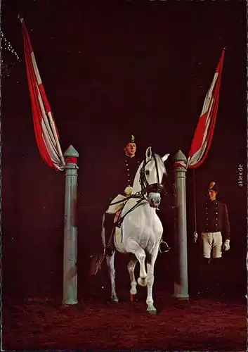 Ansichtskarte Wien Spanische Reitschule - Piaffe in den Pilaren 1972