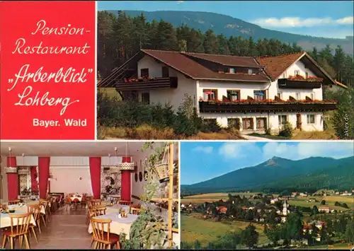 Lohberg Pension Restaurant Arberblick Lohberg - Außen- und Innen Panorama 1988