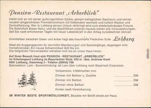 Lohberg Pension Restaurant Arberblick Lohberg - Außen- und Innen Panorama 1988