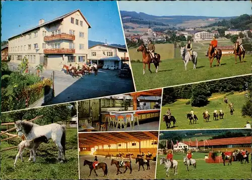 Ansichtskarte Ampflwang Reiterhof/Reitschule 1990