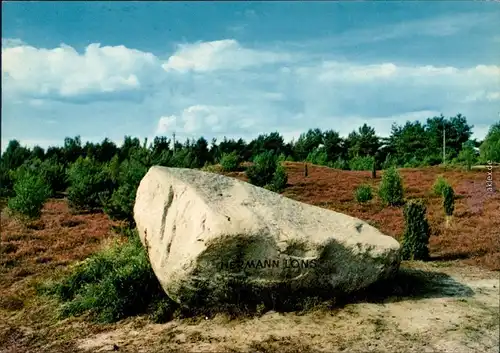 Ansichtskarte Bad Bevensen Stein, Sträucher, Wald 1985