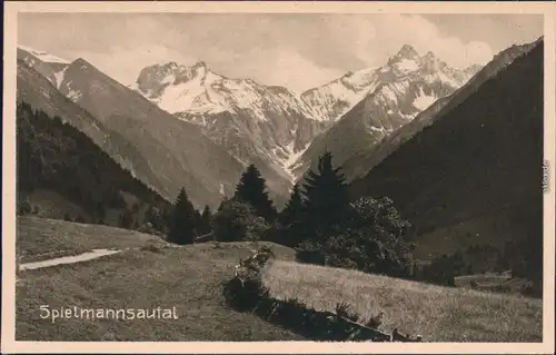 Ansichtskarte Oberstdorf (Allgäu) Allgäuer Alpen: Spielmannsautal 1920