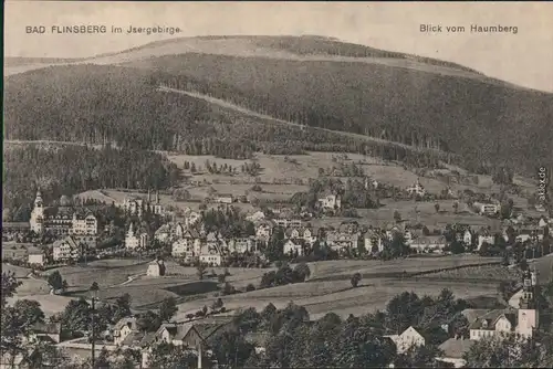 Ansichtskarte Bad Flinsberg Świeradów-Zdrój Blick vom Haumberg 1914 